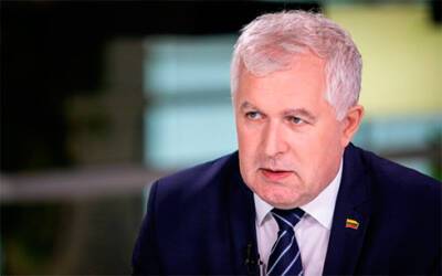 Литва готова передать Украине летальное оружие – министр