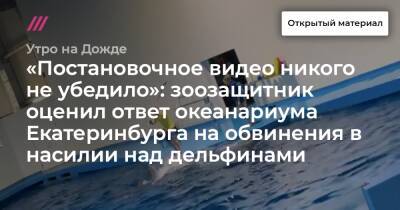 «Постановочное видео никого не убедило»: зоозащитник оценил ответ океанариума Екатеринбурга на обвинения в насилии над дельфинами