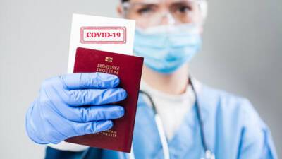 Из США - 175, из России - 9: из каких стран завозят коронавирус в Израиль
