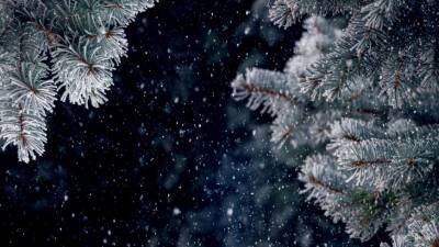 Легкий мороз и небольшой снегопад: синоптик рассказал о погоде в новогоднюю ночь
