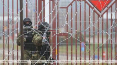 Шевцов: над каждым польским силовиком в закрытой приграничной зоне сейчас нависло обвинение