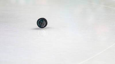 Плющев считает ожидаемым решение НХЛ не пустить игроков на Олимпиаду