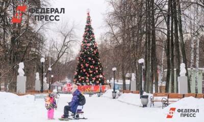 Что интересного ждет екатеринбуржцев в главном парке города на Новый год