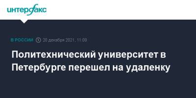 Политехнический университет в Петербурге перешел на удаленку