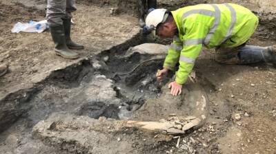 В Британии нашли огромное кладбище мамонтов, которому 200 000 лет