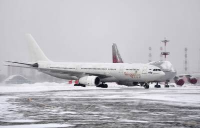 Более 30 рейсов отменили и задержали в московских аэропортах из-за снегопада