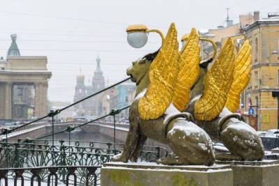 Какой прогноз погоды обещают в Петербурге на Новый год