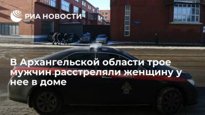 В Архангельской области трое мужчин застрелили 58-летнюю женщину в ее частном доме