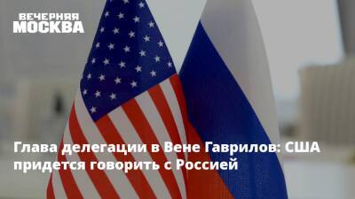 Глава делегации в Вене Гаврилов: США придется говорить с Россией