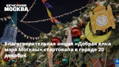 Благотворительная акция «Добрая елка мэра Москвы» стартовала в городе 20 декабря