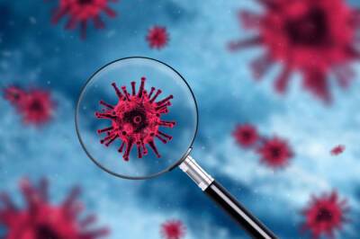 Россияне мало заинтересованы в сертификатах о перенесенном коронавирусе