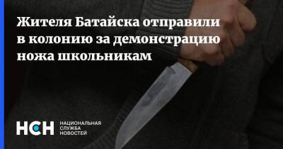 Жителя Батайска отправили в колонию за демонстрацию ножа школьникам