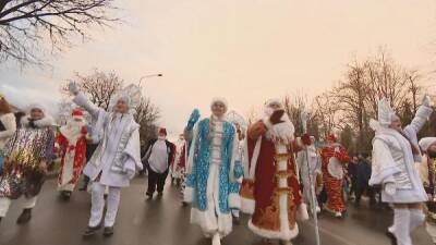 Новогоднее шествие Дедов Морозов и Снегурочек в Борисове