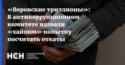 Кирилл Кабанов - «Воровские триллионы»: В антикоррупционном комитете назвали «хайпом» попытку посчитать откаты - nsn.fm