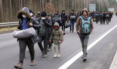 Amnesty International не разрешили навестить мигрантов на белорусской границе