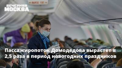 Пассажиропоток Домодедова вырастет в 2,5 раза в период новогодних праздников