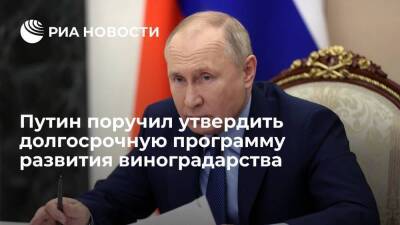 Путин поручил утвердить долгосрочную программу развития виноградарства