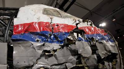 Суд в Гааге получил ещё три иска о компенсациях от родственников жертв крушения рейса MH17