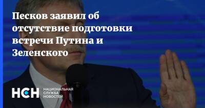 Песков заявил об отсутствие подготовки встречи Путина и Зеленского