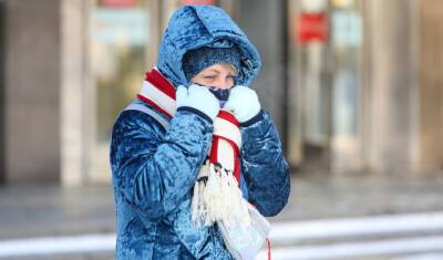 Москвичей предупредили о морозах до минус 28 градусов