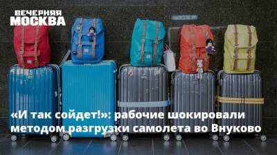 «И так сойдет!»: рабочие шокировали методом разгрузки самолета во Внуково - vm.ru
