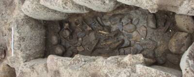 В кургане Дании найдены могилы детей эпохи неолита и бронзового века
