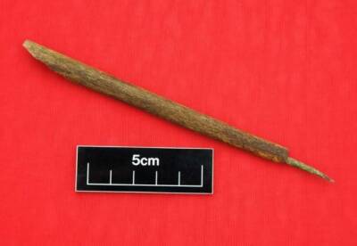 В средневековом форте найдена самая старая чернильная ручка