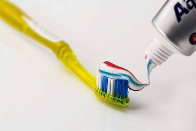 Медики рассказали, как часто нужно менять зубную щетку - lenta.ua - США - Украина - Англия - штат Алабама