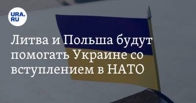Литва и Польша будут помогать Украине со вступлением в НАТО