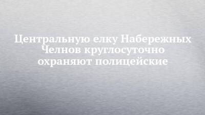 Центральную елку Набережных Челнов круглосуточно охраняют полицейские