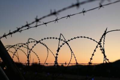 В убийствах мигрантов на границе с Польшей обнаружили «русский след»