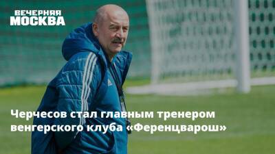 Черчесов стал главным тренером венгерского клуба «Ференцварош»