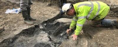 В Англии обнаружены останки пяти мамонтов, живших 220 тысяч лет назад