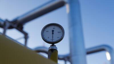 «Не понимают, как устроен рынок»: цена газа в Европе превысила $1700 за тысячу кубометров на фоне заявлений властей ФРГ
