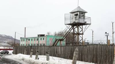 В ОНК Москвы прокомментировали инициативу об ужесточении наказания за пытки