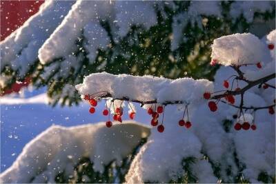 В Мурманской области снегопады продолжатся