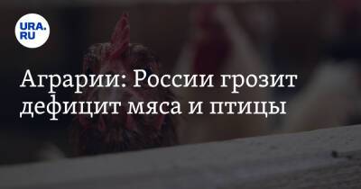 Аграрии: России грозит дефицит мяса и птицы