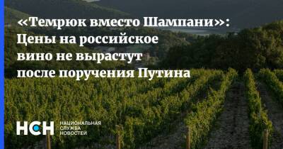 «Темрюк вместо Шампани»: Цены на российское вино не вырастут после поручения Путина