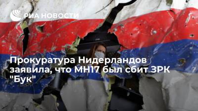 Прокуратура Нидерландов заявила, что MH17 был сбит ЗРК "Бук" со стороны Первомайского