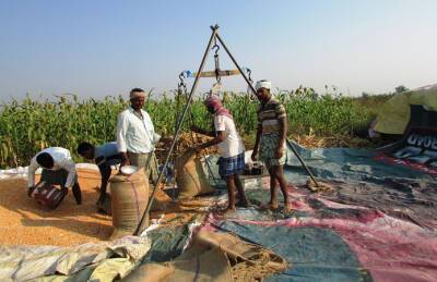 Индия приостановила фьючерсную торговлю основными агротоварами