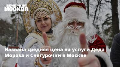 Названа средняя цена на услуги Деда Мороза и Снегурочки в Москве