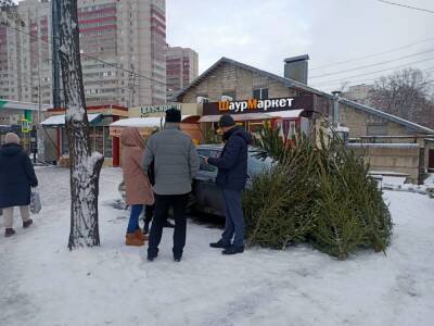 В Воронеже начались рейды по незаконной торговле ёлками
