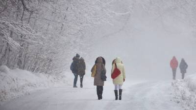 Метеоролог Леус рассказал о погоде в России в течение рабочей недели