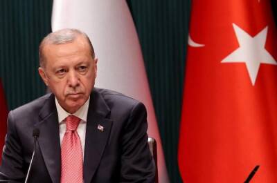 Эрдоган «наклонил» лиру до 18+: турецкий бизнес на грани инвестиционного срыва