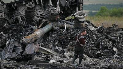 Хендрик Стейнхейс - Очередного «неудобного» свидетеля отстранили от дела о крушении MH17 - iz.ru - Украина - Израиль - Голландия - Амстердам