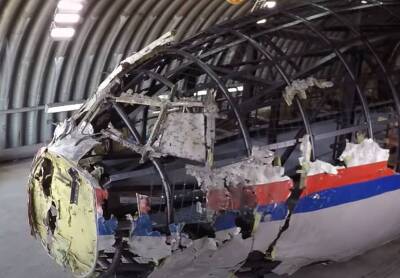 Тейс Бергер - Прокуратура Нидерландов: Стрелявшие по борту MH17 лица виновны, даже если приняли его за военный самолет - topwar.ru - Россия - Голландия