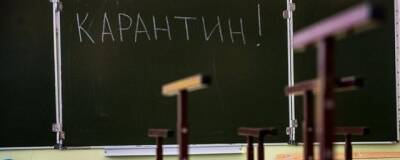 Более 220 классов закрыто на карантин в воронежских школах из-за ОРВИ и COVID-19