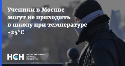 Ученики в Москве могут не приходить в школу при температуре -25°C
