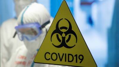 ВОЗ: число жертв коронавируса в мире превысило 3,3 млн с начала года
