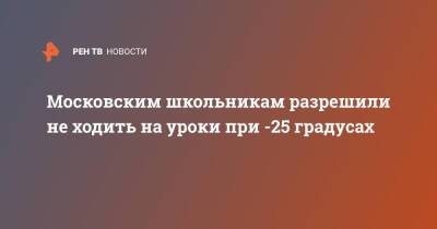 Московским школьникам разрешили не ходить на уроки при -25 градусах